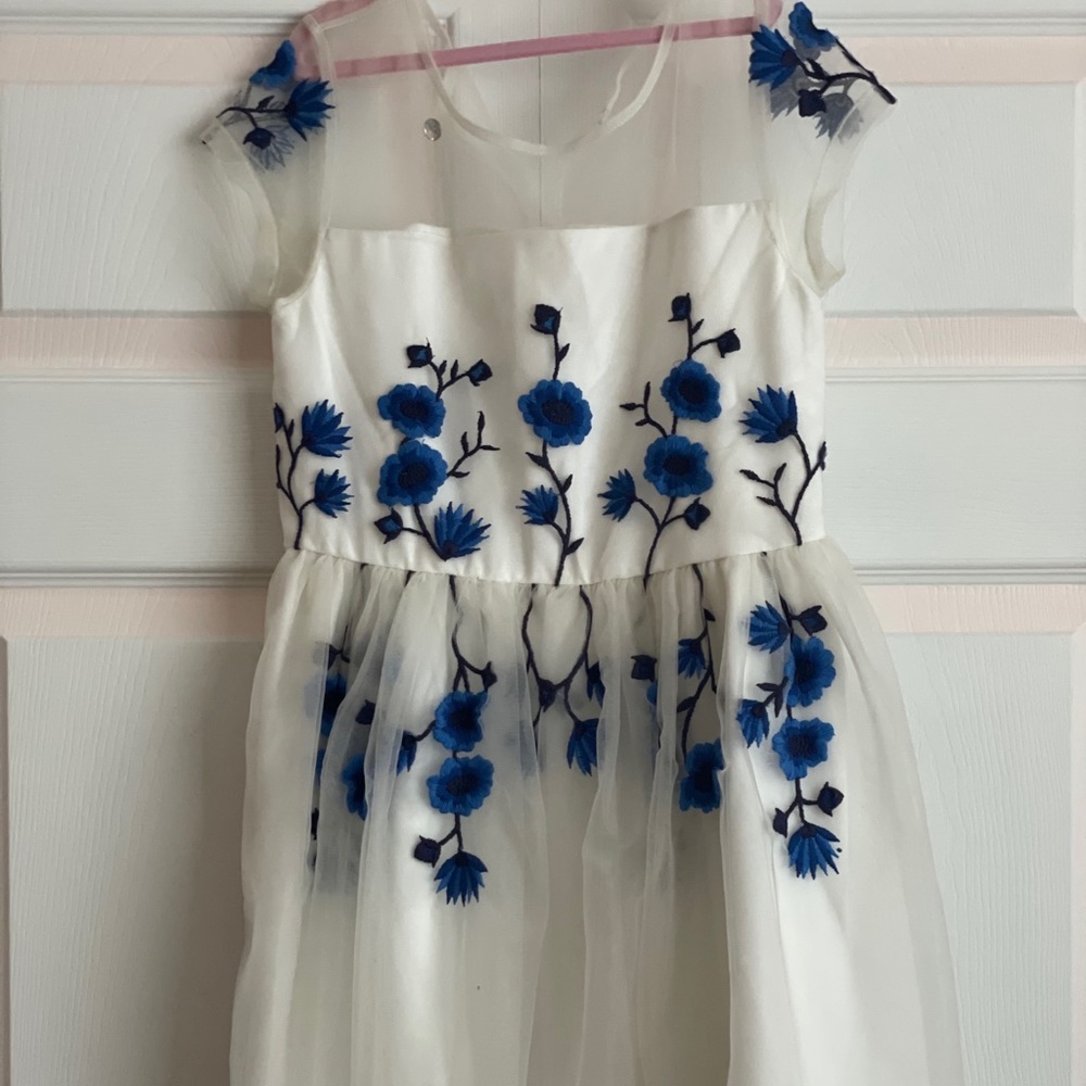 Tulle embroidered girls dress
